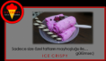 /album/menu/m2-png/